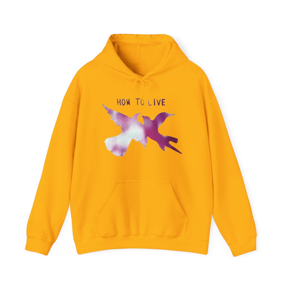 Official Del Water Gap How To Live shirt, hoodie, Hoodie & apparel - alternate angle 2, merchandise